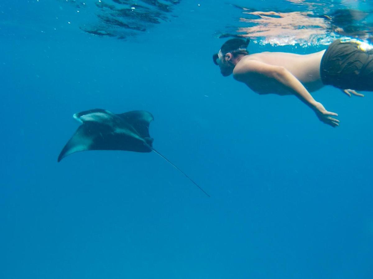 ホテル スターリー ナイト アット ウクルハス Ukulhas エクステリア 写真